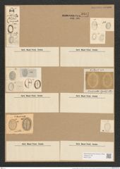Cocconeis scutellum var. ornata Grun. (de-Toni-Nr.: Genus 40, Species 1812) Zeichnungen Sammlung Grunow Nr. 3607 (NHMW-BOT-W0371204)